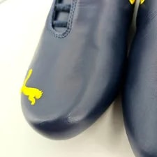 Puma- Scuderia Ferrari 10th Anniversary Future Cat Shoes US 12 4