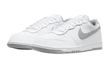 NIKE — Nike 355152-106 Dunk Low Light Low Top Skate Lifestyl — Sneaker — resale