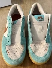 Nike SB Force 58 Shoes Dusty Cactus Skate ’s Size 10.5 Shoe No Laces 2