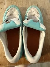 Nike SB Force 58 Shoes Dusty Cactus Skate ’s Size 10.5 Shoe No Laces 4