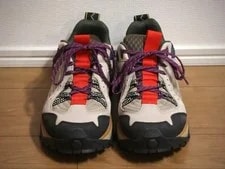 8.0US Timberland Shoes Bee Line Solar Ridge Gtx Limited Edition Vhtf Designe 2