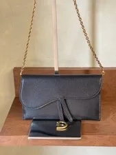 Dior Saddle WOC for 2