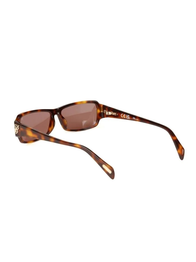 Blumarine Sbm906 Glossy Havana Acetate Sunglasses — 2