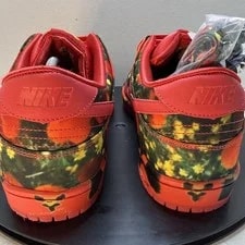 New Nike SB Dunk Low the Wizard of Oz Field Size 12 FZ1291-600 3