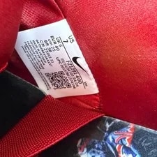 Nike SB Dunk Low Wizard of Oz Field FZ1291-600 Size 7 2