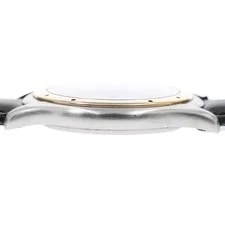 Cartier Panthere Cougar LM W350068F Silver Dial Quartz Watch_959802 4