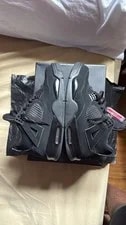 Air Jordan 4 Cat 2020 2