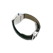 Cartier Long Steel 6102502300 139108054 4