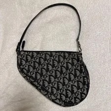 Christian Dior Saddlebag One- Trotter 2