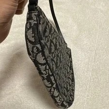 Christian Dior Saddlebag One- Trotter 4