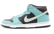 Nike Dunk SB Sea Mid Top Skateboard Shoes 314383-033 3
