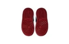 Jordan 1 Retro High NC To Chi (TD) CU0450-046 4