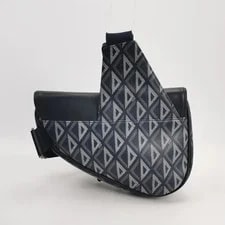 Dior Saddle Crossbody CD & 2