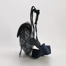 Dior Saddle Crossbody CD & 3