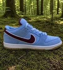 Nike SB Dunk Low Philadelphia Phillies Size 10.5M DQ4040-400 2