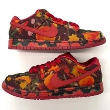 Nike SB Dunk Low the Wizard of Oz Field 2