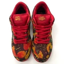 Nike SB Dunk Low the Wizard of Oz Field 4