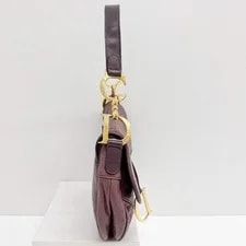 Dior Saddle Embossed 4