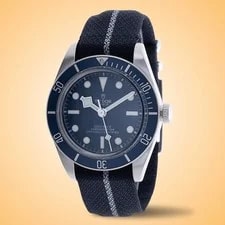 Tudor Black Bay 58 Automatic Stainless Steel M79030B-0003 2