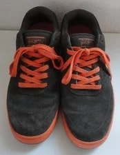 Nike SB Paul Rodriguez VII 10.5 in Fog & Total 2