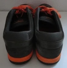 Nike SB Paul Rodriguez VII 10.5 in Fog & Total 4