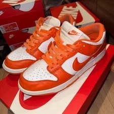 NIKE — 8.5US Nike Dunk Low Sp — Sneaker — resale