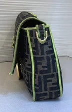 Fendi Classic Logo Limited Edition Crossbody 4