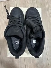 Nike Sb Paul Rodriguez Zoom Air Low 3