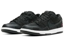 Nike SB Dunk Low Wasted DD8386-001 3