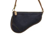 Dior Saddle W9in 2