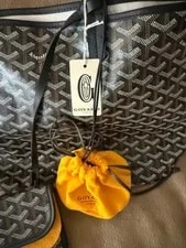 Goyard and With Detachable - St. Louis 3