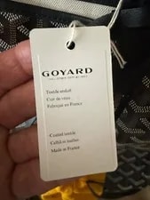 Goyard and With Detachable - St. Louis 4