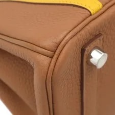 Hermes Birkin 25 Officer Vaux X Ambre Silve 4