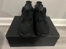 Size 12.5 - Air Jordan 4 Retro 2025 Cat 3