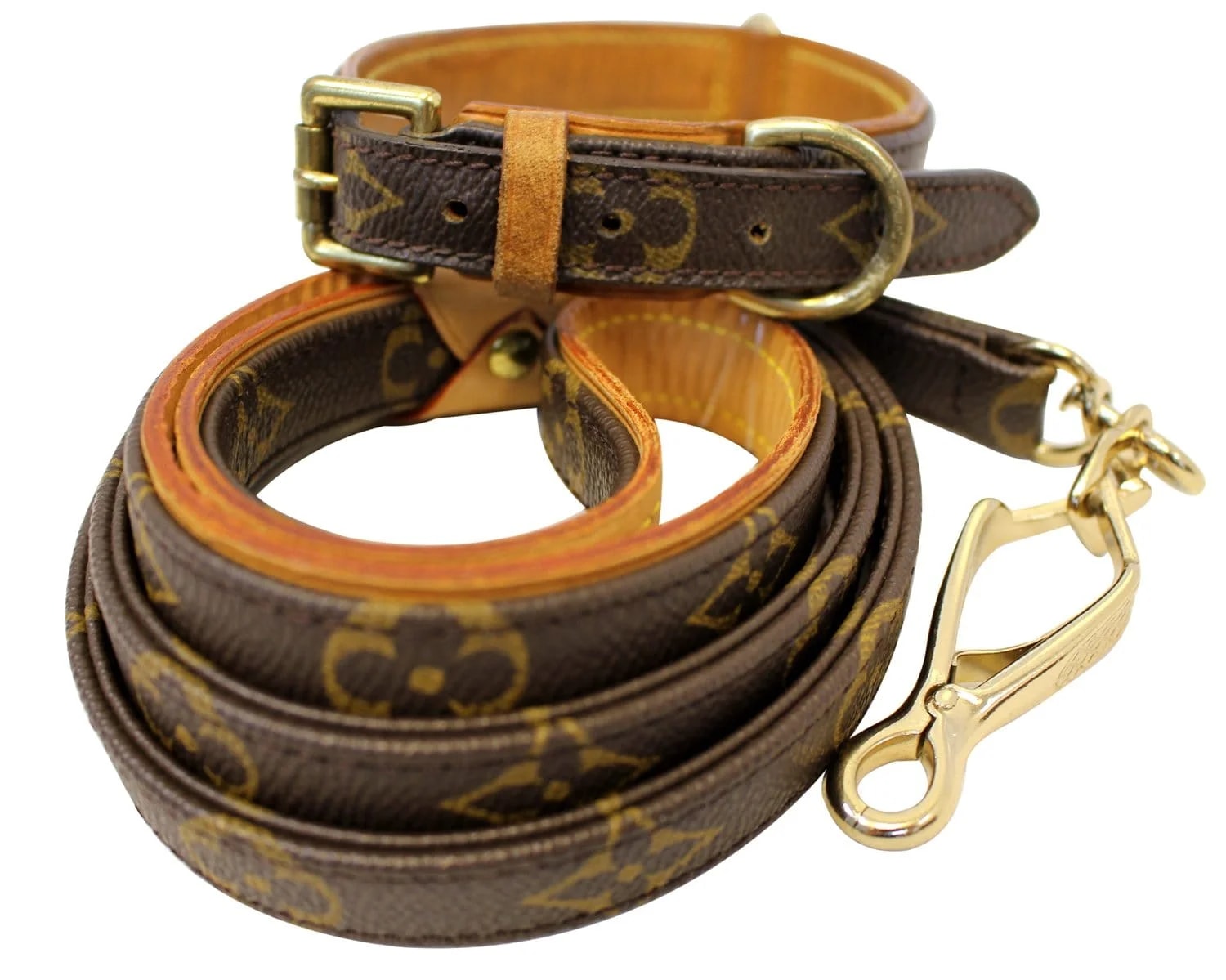 Louis Vuitton Collier Leash Baxter 2