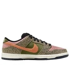 Size 12-Nike SB Dunk Low Arts-Rec IH3211-200 2