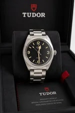 Tudor Ranger – (With Papers) 2