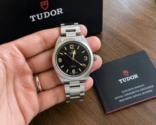 Tudor Ranger – (With Papers) 3