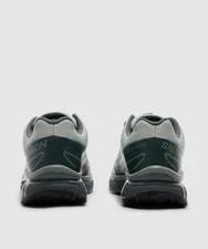 L47991700 Salomon XT-6 Gore-tex " /Urban Chic" 4