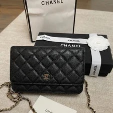 Chanel Quilted WOC Wallet on Chain Flap Crossbody 2
