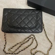 Chanel Quilted WOC Wallet on Chain Flap Crossbody 4