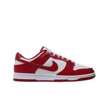 Nike Dunk Low Retro Basketball 3
