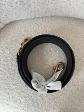 Dior Strap 2