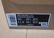 X Air Max 1 Cactus 10 US Low Cut 3