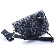 Christian Dior Saddle Body Waist Canva 2
