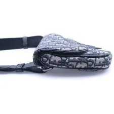 Christian Dior Saddle Body Waist Canva 3