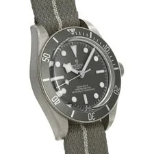 Tudor Black Bay 58 79010SG Taupe 750750 3