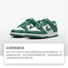 Nike Dunk Low Bicoastal (GS) HF4798-100 2