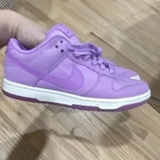 Nike Dunk Low Basketball Lace Up Low Top 2