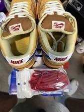 Nike Sb Low New Castle Ale 3